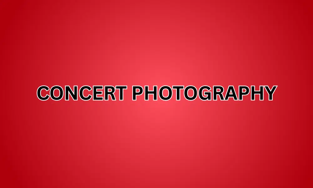 Concert Photography