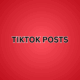 TikTok Post